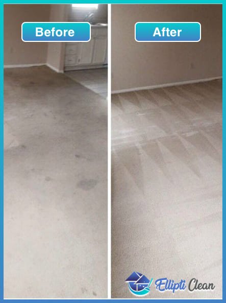 carpet cleaning services perth